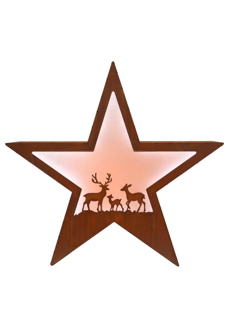 LED-Weihnachtsstern 100 cm – Ansicht 3